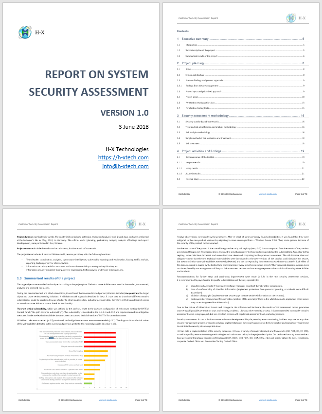 Information Security Assessment Services   Report Sample 